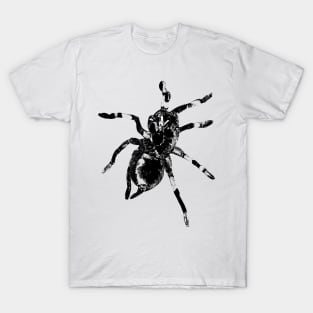 Tarantula Molting 4 T-Shirt